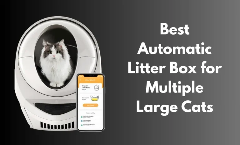 Best Automatic Litter Box for Multiple Large Cats